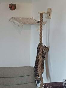 Natural Wood Cat Wall Shelf, Tasseled Cat Perch, Sisal Cat Ladder, Cat Hammock - Cat Wall Furniture For Playing, Climbing And Resting - Multicolor - View 2