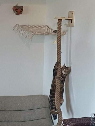 天然木质猫咪壁架，带流苏的猫咪栖架，剑麻猫梯，猫咪吊床，猫咪玩耍、攀爬和休息的壁挂家具