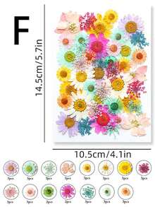 1 Set Natural Dried Flowers, For Nail Art, Resin Art, Candle Making, DIY Craft Decoration, Colorful Epoxy Mold Filler, Mixed Small Pressed Botanicals
