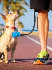 骨头图案宠物粪便袋，便携式宠物粪便袋，加厚防臭，适用于室内外猫狗粪便清理，颜色随机，75/150/300个/包