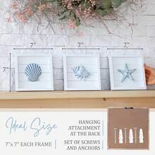 Blue Seashells And Starfish (Framed Set Of 3) Coastal 3D Wall Art, 2025  Beach Wall Decor For Bathroom Or Coastal Bedroom, Ocean Inspired Seaside Decorations For Home Or Beach House (7"X7") - 貝殼 - 灰藍色 - 查看 3