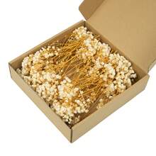 1盒天然永生满天星花 - 优雅永恒的满天星，适用于家居、办公室、婚礼、圣诞节、万圣节派对、手工制作，无需维护，适合14岁及以上人群。