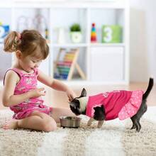 2 Piezas de Vestido para Mascotas, Falda para Cachorros, Vestido de Perro, Ropa de Verano, Ropa para Perros pequeos y Gatos OMG y ngel, Mediano - Amor y Ángel + S (Cuello: 9.4", Contorno: 15.7", Espalda: 10.2") - Ver 5