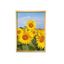 金色WPC簡約風格相框包括照片紙,可牆或者放置桌子,合適的適用於家庭,臥室,餐廳,客廳