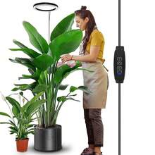1 Set Luz de planta de espectro completo USB tradicional, lámpara de piso redonda moderna para plantas en maceta, lámpara de crecimiento con interruptor de espectro regulable y temporizador para uso doméstico - Espectro completo - Ver 10