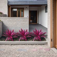 1/2 件大型紫色波士顿蕨人造植物，带 12/17 片叶子，雨林主题，适合婚礼、派对、庭院、酒店、摄影和生日礼物，是圣诞节、万圣节、感恩节、元旦和情人节的绝佳装饰。 - 彩色 - 查看 7