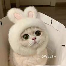 1pc Cute Pet Cat/Dog Ear Hat, Funny Bear Headdress/Headgear, Adjustable Soft Small Pet Headwear ,Panda Style For Cat Puppy Dog, Panda Ear Hat, Pet Warm Headwear For Winter - Multicolor - View 19