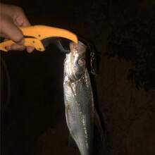 Fish Lip Gripper 6 Inch ABS White Plastic Lip Grip With Adjustable Rope Fishing Pliers Floating Controller Fishing Tools Tackles