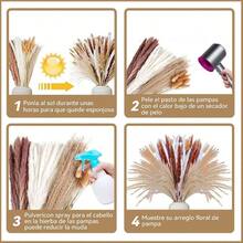 120PCS Decoracin de Hierba de Pampas Secas Naturales, Colas de Conejo de Hierba Natural de la Pampa, Decoraciones de Hierba de Pampa Seca, Ramo de Hierba Carrizo para Sala de Estar, Cocina, Boda, Fiestas - Multicolor - Ver 7