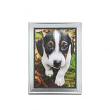 1個歐式復古相框(附相紙)供掛牆/擺放於桌上,非常適合用於家居、臥室、餐廳、客廳裝飾 - 銀色 - 查看 10