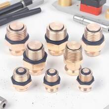 1个用于膨胀轴螺纹的高品质气阀，适用于空气膨胀轴充气口