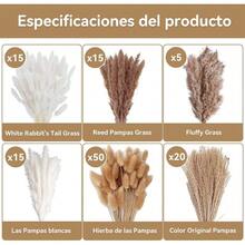 120PCS Decoracin de Hierba de Pampas Secas Naturales, Colas de Conejo de Hierba Natural de la Pampa, Decoraciones de Hierba de Pampa Seca, Ramo de Hierba Carrizo para Sala de Estar, Cocina, Boda, Fiestas - Multicolor - Ver 3