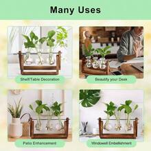 Estacin de propagacin de Plantas, Terrario con Soporte Madera Jarrn Hidropnica Florero Cristal, Jarrones Vidrio Macetas con 3 Bombillas para Interior Decoracin Mesa Oficina Casa Jardn - inicial - Ver 9