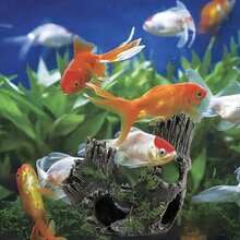 1pc Aquarium Resin Crafts Crystal Shrimp Evacuation House Breeding House Tree Roots Sinking Wood Playhouse Hollow Tree Suitable For Fish Tank Decoration Aquarium Decorations - Multicolor - View 2