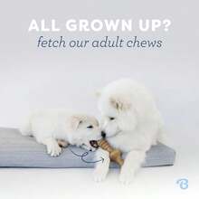 Dog Chew Toys - As Pic - View 6