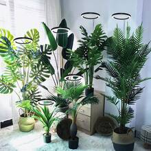 1 Set Luz de planta de espectro completo USB tradicional, lámpara de piso redonda moderna para plantas en maceta, lámpara de crecimiento con interruptor de espectro regulable y temporizador para uso doméstico - Espectro completo - Ver 7