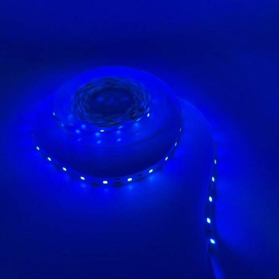 LED Strip Light 3528, 5 Meter Roll, 300 LEDs, IP20 Rating, With/Without Power Supply - 藍色的 - 查看 1