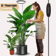 1 Set Luz de planta de espectro completo USB tradicional, lámpara de piso redonda moderna para plantas en maceta, lámpara de crecimiento con interruptor de espectro regulable y temporizador para uso doméstico - Espectro completo - Ver 8