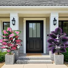 Set de 1/2 plantas artificiales moradas elegantes y grandes, plantas artificiales de violeta realistas, plantas verdes artificiales de violeta para exteriores, hojas moradas grandes y elegantes, perfectas para el hogar, escritorio de oficina y bodas, decoración interior/exterior, vegetación decorativa, plantas sin mantenimiento, planta artificial para exteriores, decoración de jardín, decoración del hogar - muchos - Ver 4