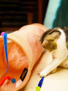 1pc Interactive Cat Lover And Cat Mom Love Toy Magic Worm Ball Elastic Ball Toy Furry Cat Lover And Cat Mom Loveerpillar Teaser Color Radom