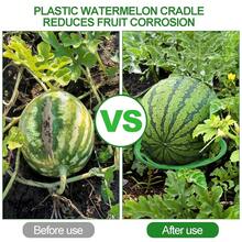 12 Pack Melon Cradles, Plastic Pumpkin Support, Squash Protector Stand, Watermelon Support Plant Trellis, Melon Holder Growing Frame, Protector For Watermelon, Squash, Pumpkin{Inchcolorinch:InchGreeninch} - Màu xanh lá - Xem 4