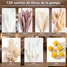 Decoracin de Hierba de Pampa Secas 120 Piezas, Colas de Conejo de Hierba La Pampa, Ramo de Decoracin del Hogar Boho, Decoraciones Hierba para Boda, Fiestas, dormitorio, cocina, Mesa para Casa - Estilo 2-120 piezas - Ver 4