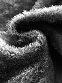 Women's Winter Thermal Lined Windbreaker Jacket - Thermal Lined, Solid Color, Printed, Hooded Design, Multiple Pockets, Suitable For Outdoor Cold Weather, Winter Thermal Lined Windbreaker - White - View 10