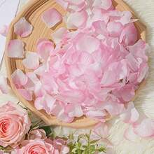 1000片人造玫瑰花瓣，适用于DIY手工、婚礼、活动、派对、情人节装饰、生日装饰、派对装饰、情人节求婚、婚礼装饰