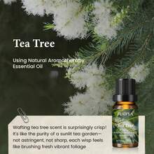 Tea Tree Essential Oil, 100% Natural, Hypoallergenic, Moisturizing, Suitable For Nail, Hair And Skin Care, Massage, Diffuser, Humidifier, Unisex, All Skin Types, With Tea Tree Scent, Drying Effect - Tea Tree - View 4