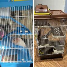 Jaula Premium Para Hámster,Jaula De Hámster De 4 Pisos Con Tobogán Y Hervidor De Agua Blue/marrón,23*17*44cm,Un parque infantil para animales pequeños, fácil de limpiar, resistente y duradero,Portátil y conveniente, la jaula para mascotas es pequeña y exquisita, bien ventilada, fácil de llevar a su mascota al hospital/juego al aire libre. Todo el dispositivo es muy ligero y se puede llevar fácilmente en viajes al aire libre, ya sea en paseos o excursiones. Pintura sin plomo, por lo que no es tóxica para los hámsters. - azul - Ver 7