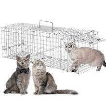 Trampa para Animales Vivos, Trampa para Gatos con Puertas, Jaula de Trampas Trampa Jaula Acero Plegable - Plateado - Ver 1