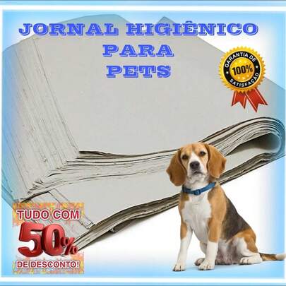 2 KG JORNAL PAPEL PET LIMPO BIODEGRADAVEL SEM CHEIRO FOLHAS GRANDES PROMOÇÃO ENVIO IMEDIATO