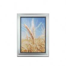 1個歐式復古相框(附相紙)供掛牆/擺放於桌上,非常適合用於家居、臥室、餐廳、客廳裝飾 - 銀色 - 查看 8