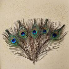 70pcs/50pcs Bulk Artificial Peacock Feathers, Suitable For Vases, Crafts, Weddings, Home Parties, Christmas Decorations, Etc. - Multicolor - View 11