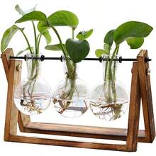 Estacin de propagacin de Plantas, Terrario con Soporte Madera Jarrn Hidropnica Florero Cristal, Jarrones Vidrio Macetas con 3 Bombillas para Interior Decoracin Mesa Oficina Casa Jardn - inicial - Ver 2