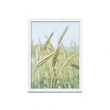 2-In-1 Minimalist WPC Photo Frame (Photo Paper Included), Suitable For Home, Bedroom, Dining Room, Living Room, Can Be Hung On Wall Or Placed On Desk (Photo Paper Shipped Randomly) - New White - View 9