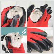 Guantes De Jardín, Guantes De Jardinería ,Guantes De Jardinería De Trabajo De Jardinería De Jardinería | Accesorios De Herramientas De Goma, Impermeables Y A Prueba De Espinas - 02780 - Ver 5