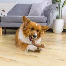 Outward Hound Dogwood Wood Durable Dog Chew Toys, Real Wood &Amp; Calming Hemp, 2-Pack, Medium - ColorE - 查看 2