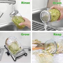 JINLICOME Kit de cultivo de brotes de 2 piezas para tarros de brotes para 2 tarros grandes de boca ancha para cultivo de brócoli, alfalfa, frijol mungo. (16 onzas) - 16 onzas - Ver 5