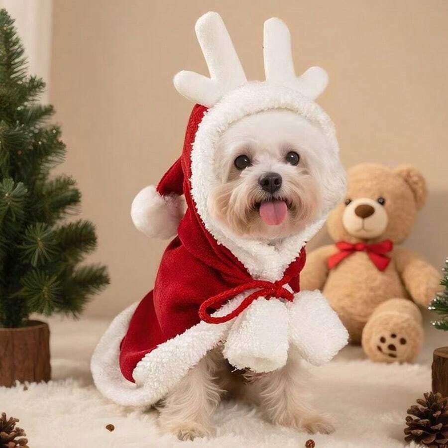 Met deze kerstoutfits wordt jouw huisdier de ster van het feest