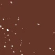 #2 Brown
