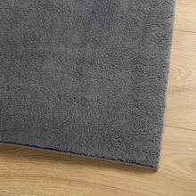 vidaXL Teppich HUARTE Kurzflor Weich Und Waschbar Anthrazit 80x150 cm - Grigio - Visualizzare 4
