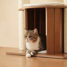 XXL Cat Tree With Trunk 135cm - Stable Climbing Tree, 3-Level Platform, 1 Cat House, 12cm Thick Trunk, Removable Cushion And Rock, Waterproof And Weatherproof - White - View 5