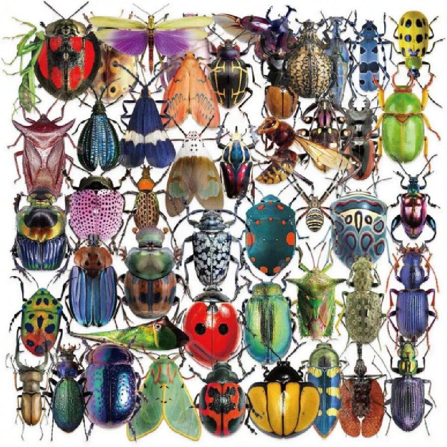 50 Pcs Insect Stickers,Bug Decals, Realistic Transparent Insecta PET ...