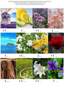 1 Botella difusor de gotero de aceite esencial + 1 humidificador de cristal, aceite esencial, humidificador/difusor de aromaterapia/piedra aromática/ambientador de coche, aromaterapia para relajar el dormitorio, fragancia duradera de incienso, rosa y limón aceites esenciales de plantas