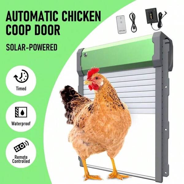 Automatic  Chicken  Door Solar Powered Opener With Timer Light Sensor Remote