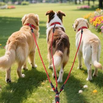 3-In-1 Durable Pet Leash, Multi-Head Dog Leash, Suitable For Golden Retriever And Other Dogs