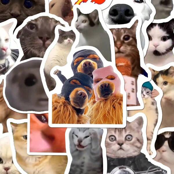 100 pegatinas de memes de gatos, pegatinas creativas, divertidas y lindas de mascotas, adecuadas para scrapbooking, fundas de teléfono, entrega aleatoria