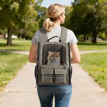 Rolling Pet Carrier Backpack With Removable Wheels, Large Pet Carrier With Wheels, Foldable Rolling Dog Carrier With Wheels And Big Pocket, For Travel, Outdoor, Vet Visits, Camping, Indoor - 棕色 - 查看 2