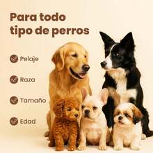 BIOMAA Shampoo Natural´s para Perros con Extracto de Avena y Aceite de Almendras – Ayuda con la Picazón, Hidrata la Piel y Suaviza el Pelaje – para Todo Tipo de Piel – 17.6oz/500mL - 1 - Ver 9